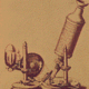 Robert hooke
