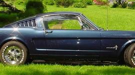 Timeline: How to restore your mustang. by Larry dobbs and Donald Farr. nonfic (130)