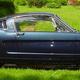 1966 mustang fastback