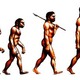Theory of evolution 1