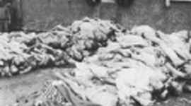 Timeline: Teenage Years Are Hard