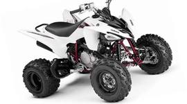 Timeline: Nico's Life