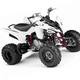 Yamaha raptor 250 atv 01