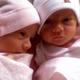 Beautiful twin babies 21255545