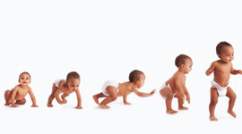 Timeline: Las etapas del bebé