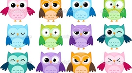 Timeline: Nicole Voth: Personal Timeline