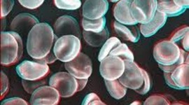 Timeline: Scientists and Cells Timeline!