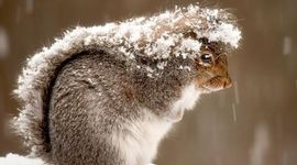 Timeline: The Fundamental Theorem of Calculus