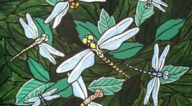 Timeline: SPED Timeline