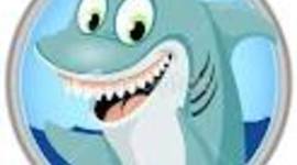 Timeline: My Pet Shark
