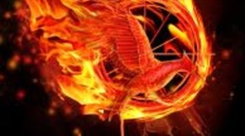 Timeline: (dz) Catching Fire by Suzanne Collins, fiction ( 496 pages)