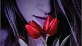 Timeline: (SS) Evermore, Alyson Noel, Fiction, 306