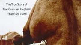 Timeline: Modoc by Ralph Helfer Non-FIC 325