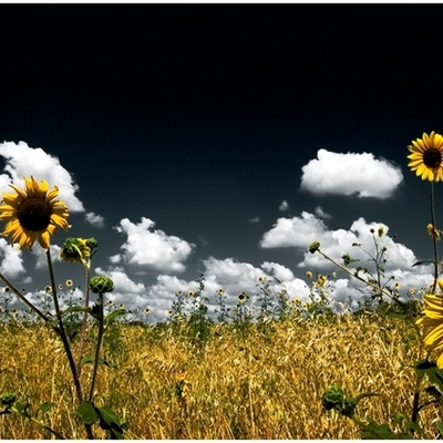 Timeline: ma petite vie