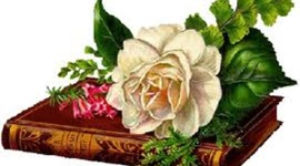 Timeline: Carta Magna