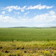 Plains landscape
