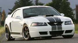 Timeline: Mustang Goal Timeline