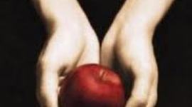 Timeline: Twilight, Shephenie Meyer, fiction,498