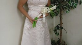 Timeline: Ivette Vidot's language timeline