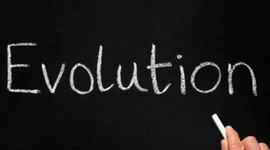 Timeline: Evolutionary Theory (Kassandra Tapia)