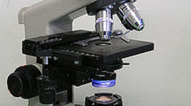 Timeline: History of the Microscope