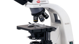 Timeline: History of the Microscope and Cell Theory