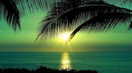 Timeline: Tim Turck's History of the Internet Timeline