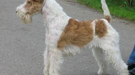 Timeline: About My family and me