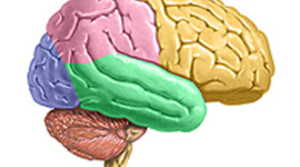 Timeline: History of Psychology