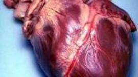 Timeline: Artificial Heart