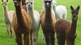 Timeline: Country time line