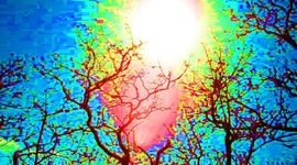 Timeline: contracultura