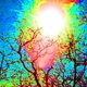 Lsd by riproaringreverend