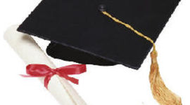 Timeline: diego timeline