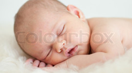 Timeline: All About Me~ Taylor Owen