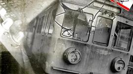 Timeline: La Contracultura del Siglo XX