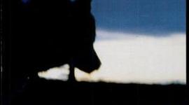 Timeline: Winterdance, Gary Paulsen, Non-Fiction, 256 pages