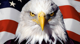 Timeline: American History Timeline