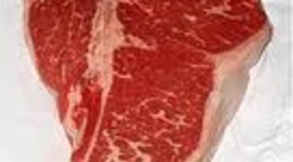 Timeline: shakespeare