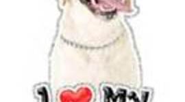 Timeline: Andreina Timeline