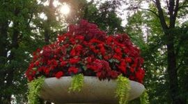 Timeline: IKT koolis