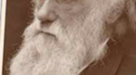 Timeline: Darwin