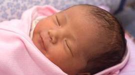 Timeline: Myrna's Language Acquision Development