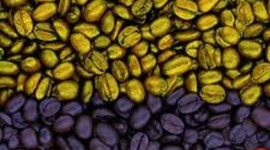 Timeline: HECHOS MAS DESTACAOS EN COLOMBIA