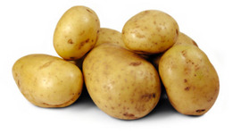 Timeline: Timetoast Geology Timeline