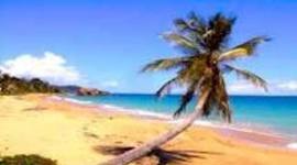 Timeline: My languagege acquisition developement