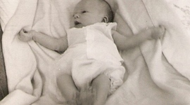 Timeline: don David Tomás