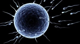 Timeline: Mis logros