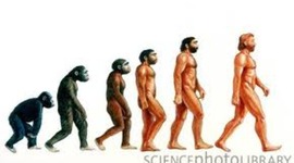 Timeline: Contributors to the Theories of Evolution  By Michelle Footman