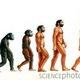 Evolution